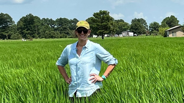 Dem candidate in Arkansas called out for pushing farmer image that critics say isn't 100% true