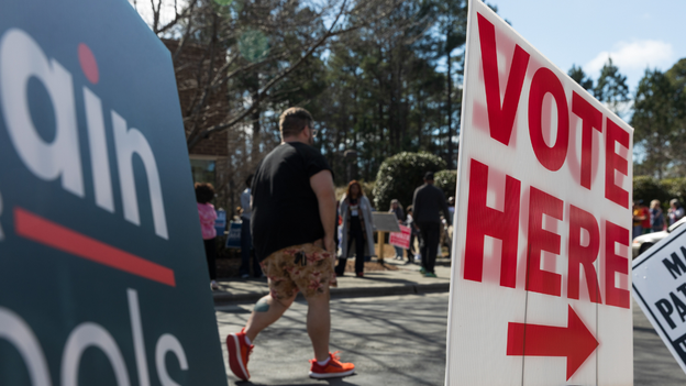 How do primary elections impact the November general elections?