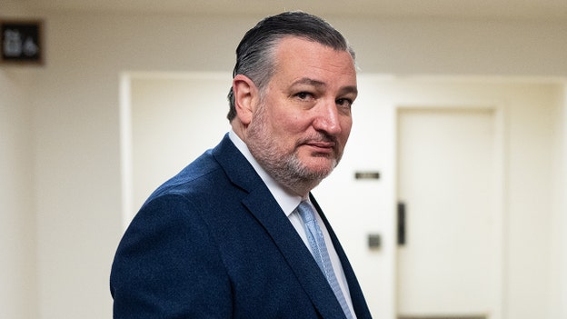 Ted Cruz asks Senate clerk to hold his salary as DHS workers go unpaid