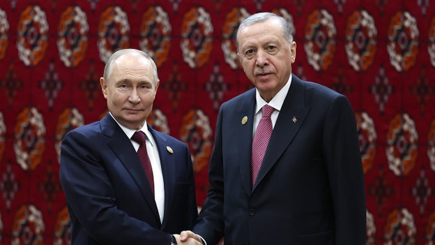 Putin, Erdogan speak by phone on Persian Gulf tensions, express support for ceasefire