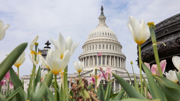 Turbulent times in the House as two more lawmakers on the chopping block after Swalwell, Gonzales