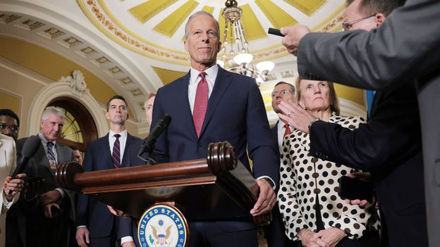 Luna urges Thune to investigate 'disturbing' allegations against unnamed senator