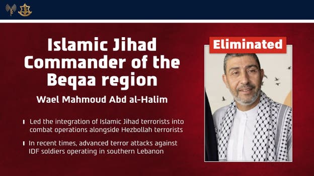 Israel eliminates Islamic Jihad commander in wave of dozens of strikes in Lebanon: IDF