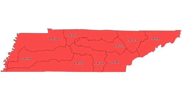 Tenn Gov Lee calls special session to redraw House map in GOP's favor 9-0