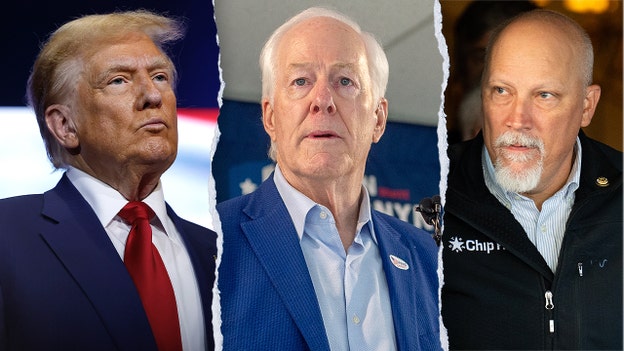 Trump comms advisor slams John Cornyn, Chip Roy as 'RINOs' ahead of Tuesday night elections
