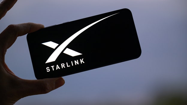 Iranian man arrested over Starlink use dies after alleged beating: report