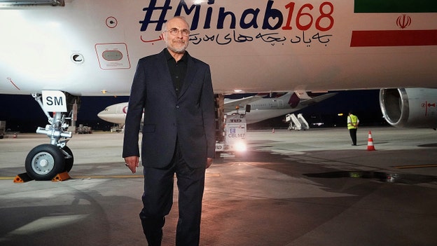 Iranian negotiator says 'only crop we're harvesting' from US is 'decades of mistrust'