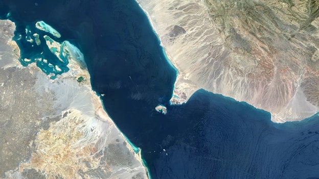 Expert warns of 'general escalation' of fighting if Houthis resume Red Sea campaign