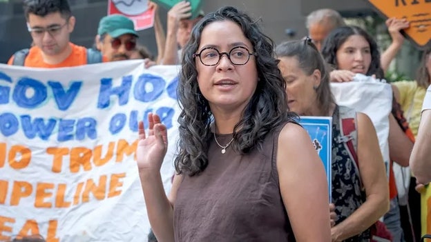Democratic socialist Mamdani ally mounts bid for US House of Representatives
