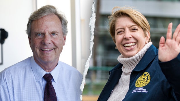 Republican Jim Desmond, Democrat Marni von Wilpert advance to November faceoff in CA race