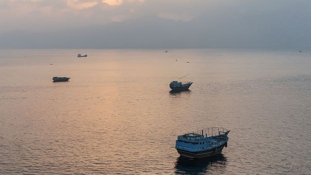 France, UK reach Hormuz security agreement with Oman