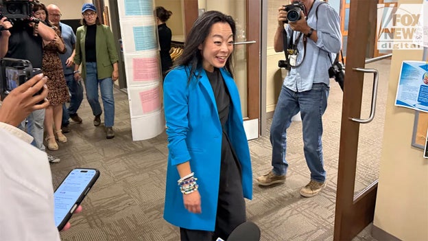 Wisconsin DSA gubernatorial candidate Francesca Hong: ‘We need a united party’