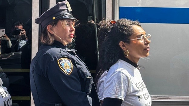 103 people, including Democratic politicians, arrested during anti-Israel protests in New York