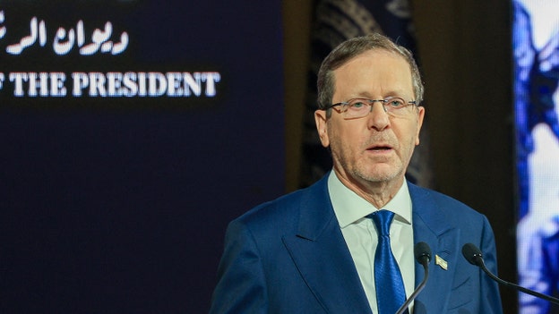 Israeli President Herzog calls FlyDubai incident 'terror attack,' thanks UAE for fighting terrorism