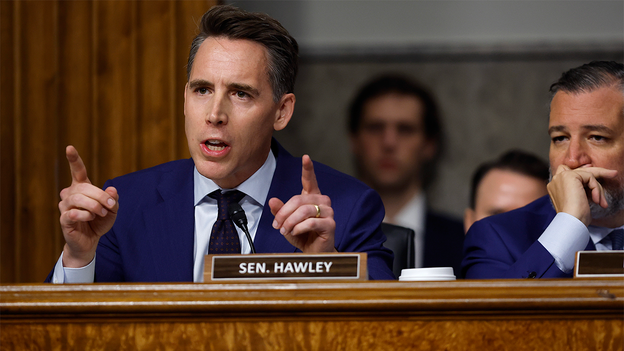 AI giants’ bid to sidestep antitrust laws hits wall with Cruz, Hawley