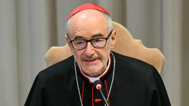 Pope's artificial intelligence chief admits he doesn't use AI