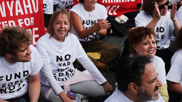 Who is Medea Benjamin? CodePink co-founder at UN protest poured millions into left-wing groups