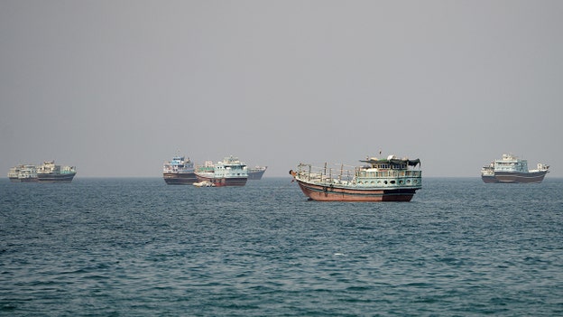 'No single state' should control Strait of Hormuz, UAE official says