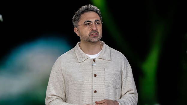 Microsoft AI chief warns Anthropic's AI training approach could make models harder to control