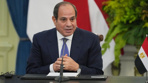 Egypt will take 'any measure' to defend Saudi Arabia from attacks by Iran-backed Houthis