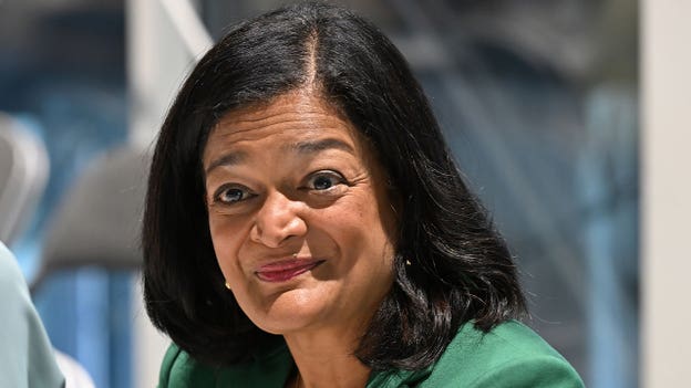 Dem lawmaker unveils AI safety plan requiring federal charters for companies