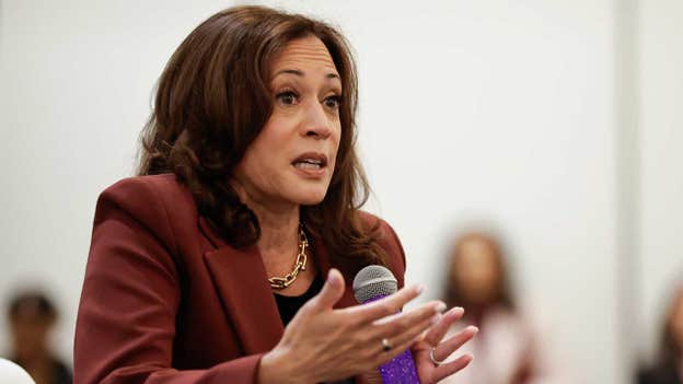 Former VP Kamala Harris trains fire on Trump admin, seeks to support Dems during midterm cycle