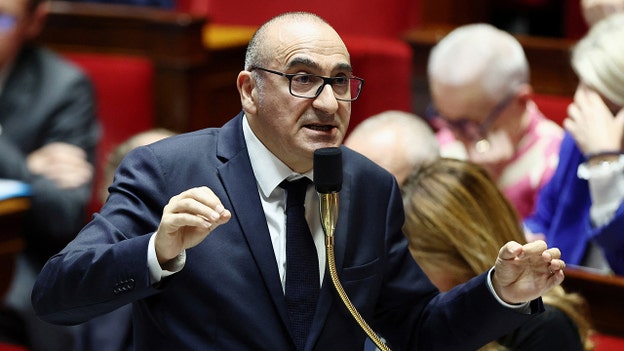 French official says 'I deeply regret what happened' following massive weekend protests