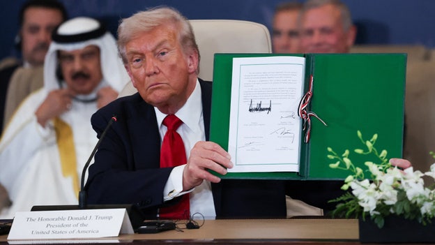 ‘Peace through strength’: Trump Gaza plan gains global backing one year on