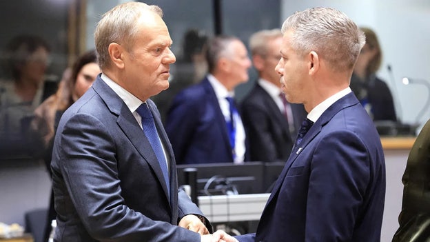 Hungary and Poland defend tough migration policies as France reels from violent unrest
