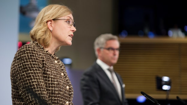 EU tech chief downplays rogue AI attack threat, says existing regulations enoug to stave off danger