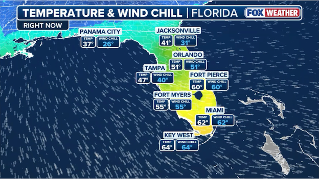 Frigid air surging south across Florida as state braces for historic chill