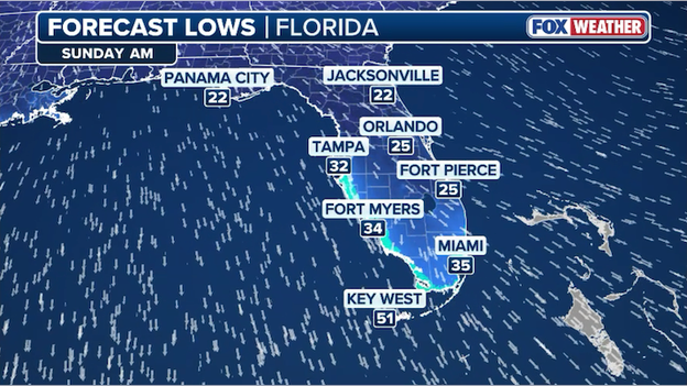 Florida freeze crisis threatens billions in crops as temperatures crater