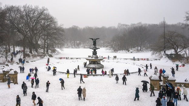 Central Park records double digit snow total