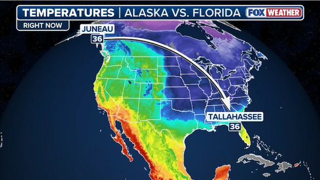 Sunshine State shivering as Florida mirrors Alaska in historic record cold