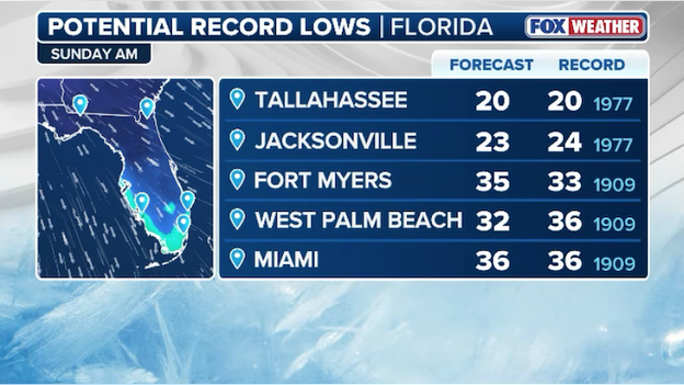 Arctic blast to freeze Florida with coldest temperatures in nearly 20 years