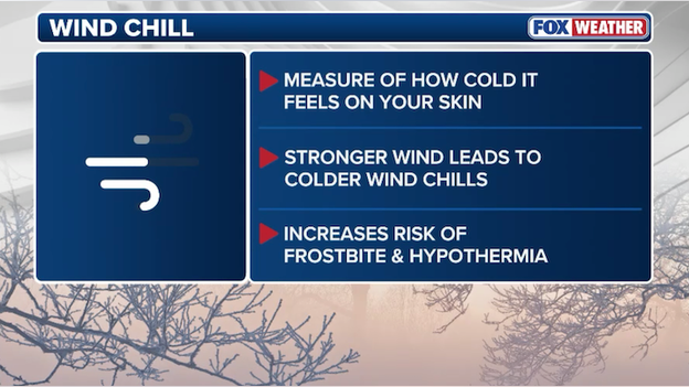 Analysis: why wind chill is so important