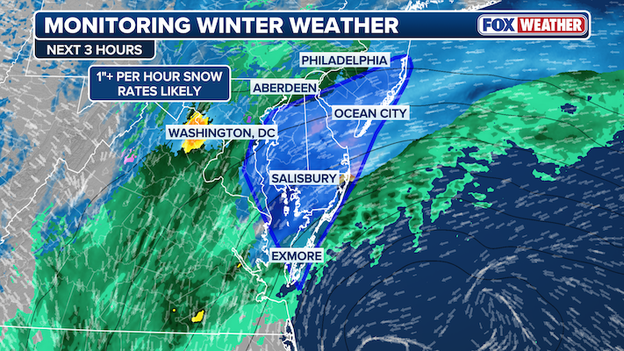 Heavy snow bands with 1"+ hourly rates now developing across the Mid-Atlantic