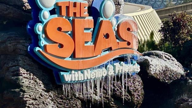 Florida Freeze: Icicles spotted in Walt Disney World in Orlando, Florida