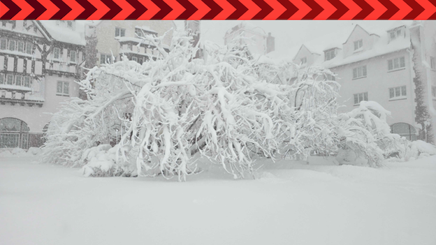 What to know this morning