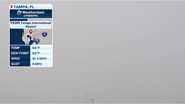 Dense fog slowing flights in and out of Tampa International Airport this morning