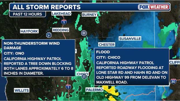 California on alert as heavy rain floods area roads, downs trees