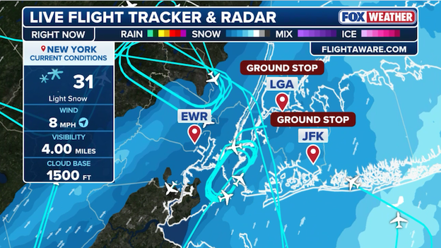 Ground stops ordered at major New York airports as snow snarls air travel