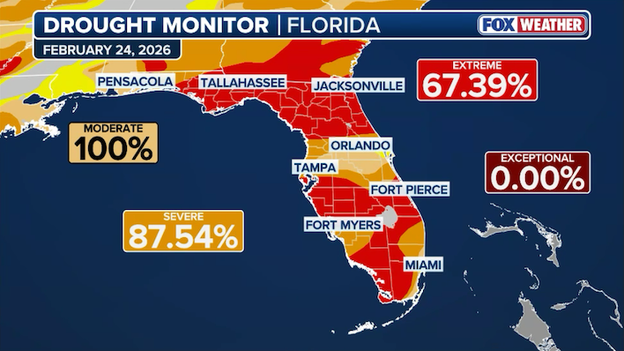 The hidden cost of a hurricane-free 2025: How missed storms left Florida’s aquifers empty