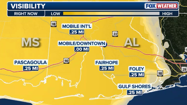 Dense fog blankets Gulf Coast as visibility drops to near-zero