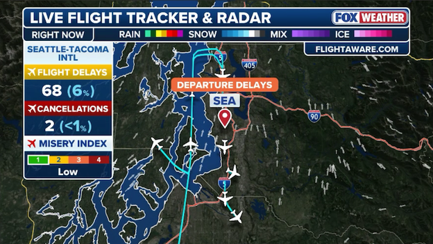 Low clouds trigger flight delays at Seattle-Tacoma International Airport