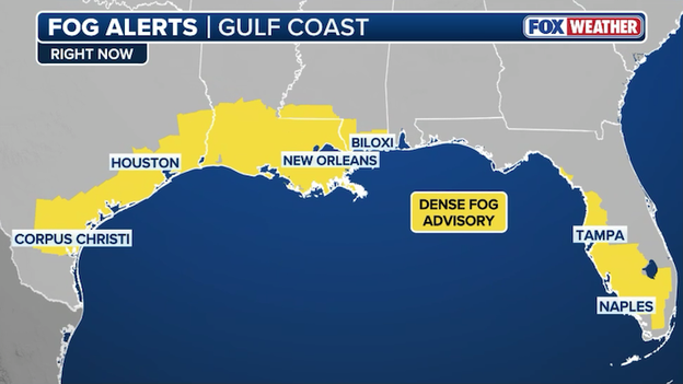 22 million under fog alerts along Gulf Coast as 'Pea Soup' conditions slow travel