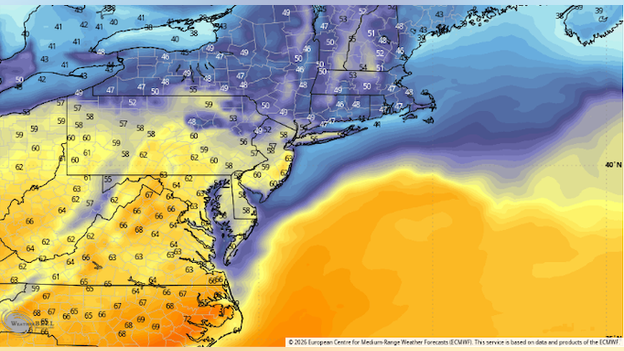 Analysis: Could New York hit 60°F next week?