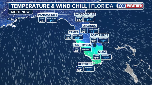 Iguanas falling and records tumbling as arctic blast freezes Florida