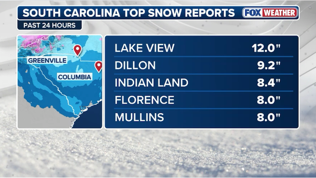 NEW snow report: 12.0 inches recorded in Lake View, South Carolina