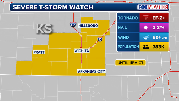 Severe Thunderstorm Watch issued for southern Kansas